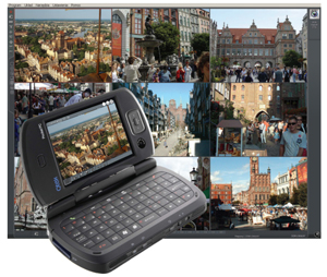 Alnet Systems ALN-NET32  32 IP Camera License