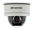 Arecont Vision ARC-AV1255DNH  1.3 MP MegaDome®2 Camera