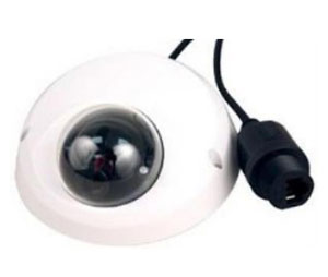 Home Automation Inc. HAI-68A111 Indoor/Outdoor 1.3 MP IP Network Camera