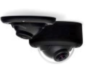 Arecont Vision ARC-AV514504D MegaBall 5 Mp IP Indoor Color Dome Camera with 4mm Lens