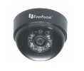 Everfocus EVE-ED330N4B Surveillance Camera