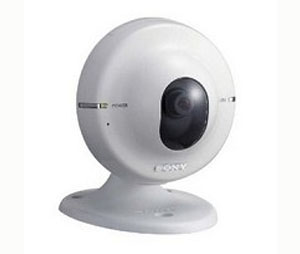 Sony Electronics Inc. SON-SNCM1W  Network Camera