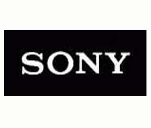 Sony Electronics Inc. SON-HSRX21632  Large 320GB HDD