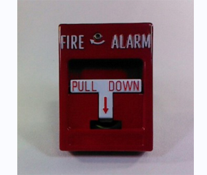 RSG Inc. TPG-RMS1P Pull Station with Wire Leads