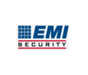 EMI Security APW-PDP2778SM Door Perf Split 27W 45U Blk