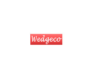 Wedgeco Cmp. 7000 7000 Ultra Thin Broken Key Extracto Orng Hndl