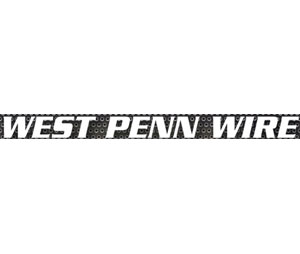 West Penn Wire Cmp. AQ226 14-1P Str Bc Pvc/Nyl Pvc Jkt Blk Fpl 300V Waterblock Aquaseal 1000 Ft Roll