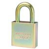 American Lock A5200GLN Solid Steel BumpStop Rekeyable Pin Tumbler Government Padlock