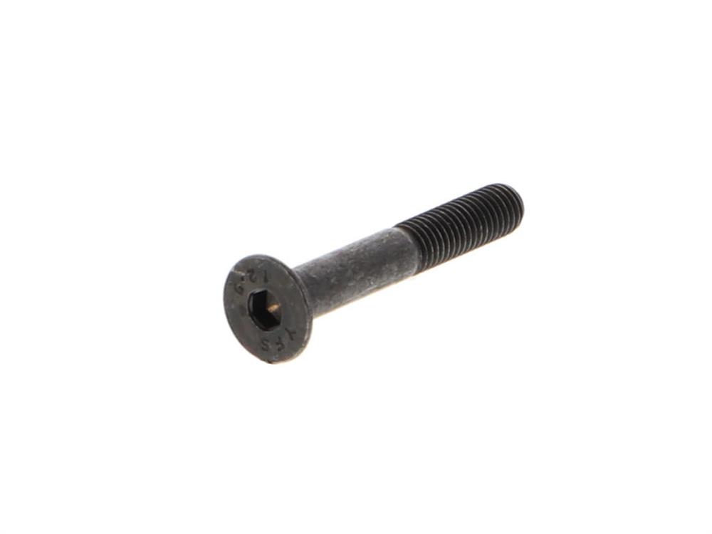 detail image for Alarm Controls AM6340 Long Armature Bolt