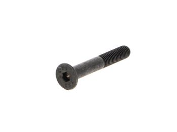 Alarm Controls AM6340 Long Armature Bolt