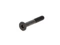Alarm Controls AM6340 Long Armature Bolt