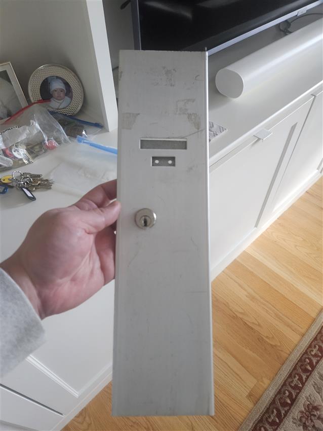 detail image for Bommer F5770-D-628 Door only for  5770 Series Vertical Mailbox, Size D, Clear Anodized finish