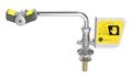 Bradley S19-274B Laboratory Application Swing-Away Eyewash