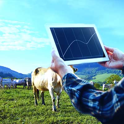 crop-and-livestock-management