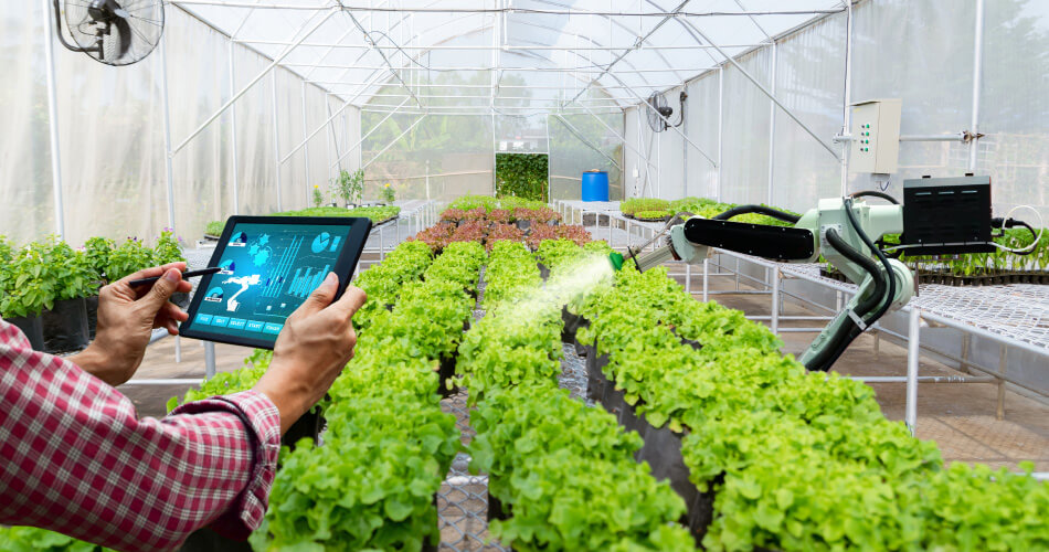 iot-farming-Smart-Greenhouses