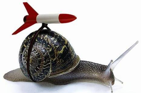 rocketsnail
