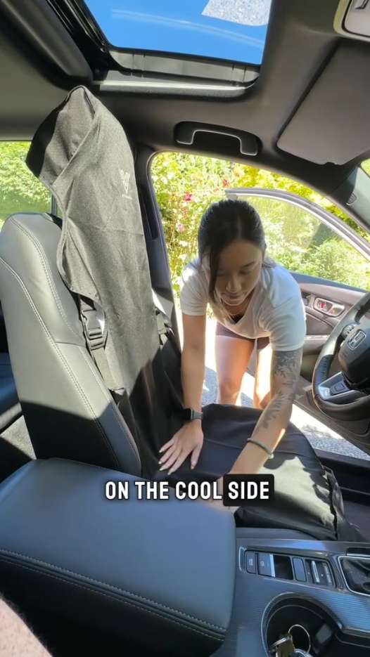 Car Seat cover