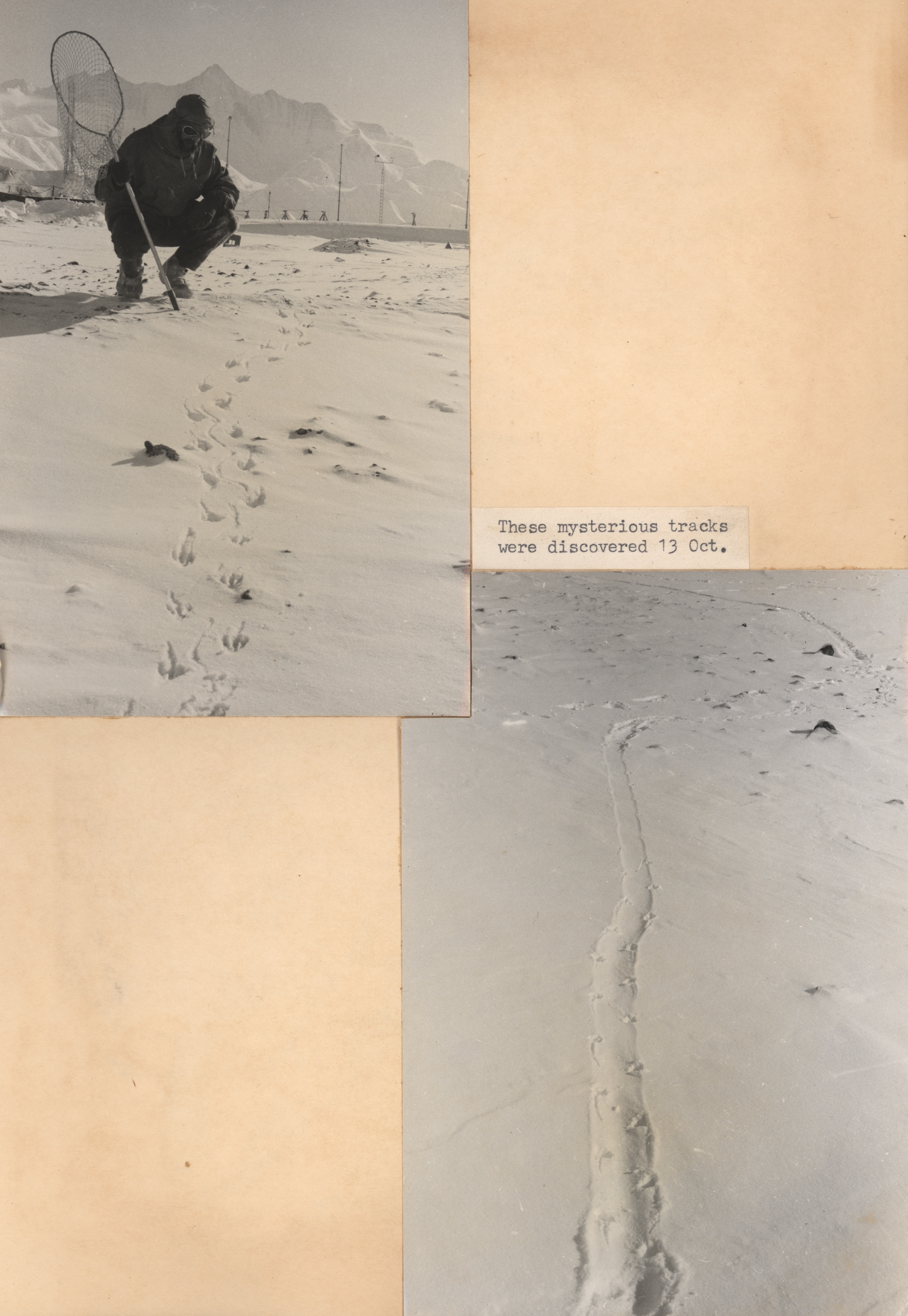 Mysterious tracks discovered 13 October 1958