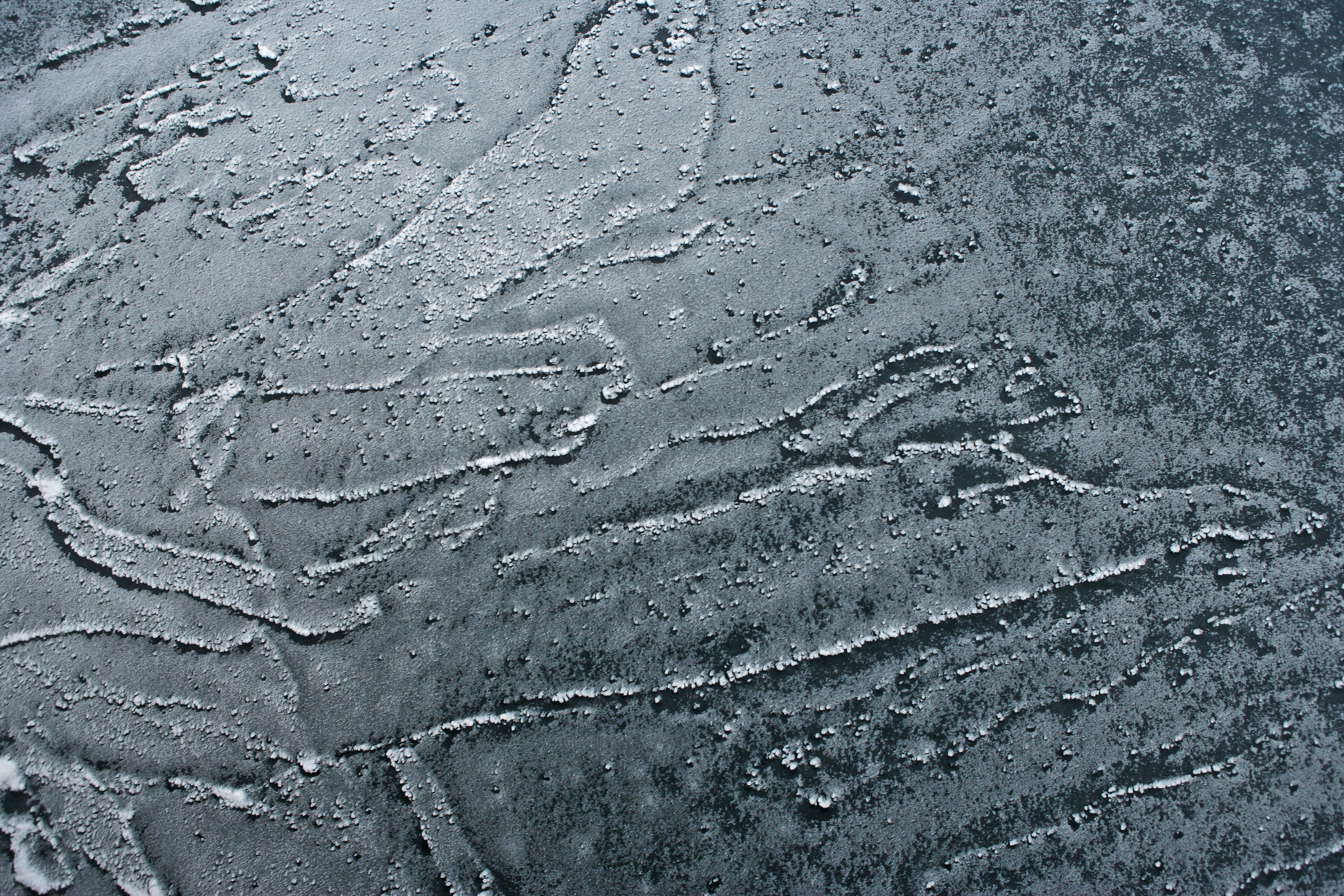Grease ice forming as the Arctic Ocean cools with the approaching winter