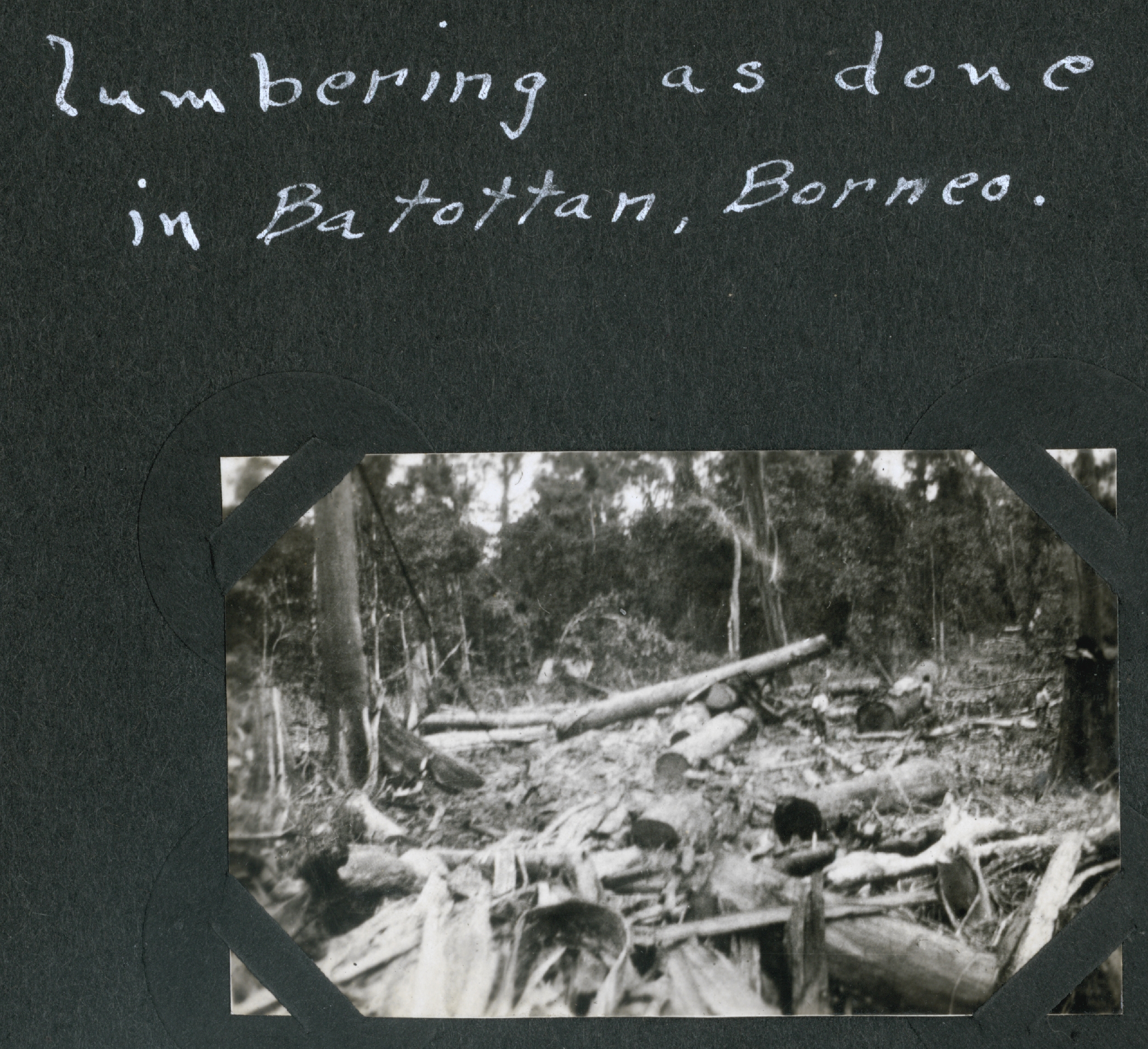 Destruction caused by logging at Batottan