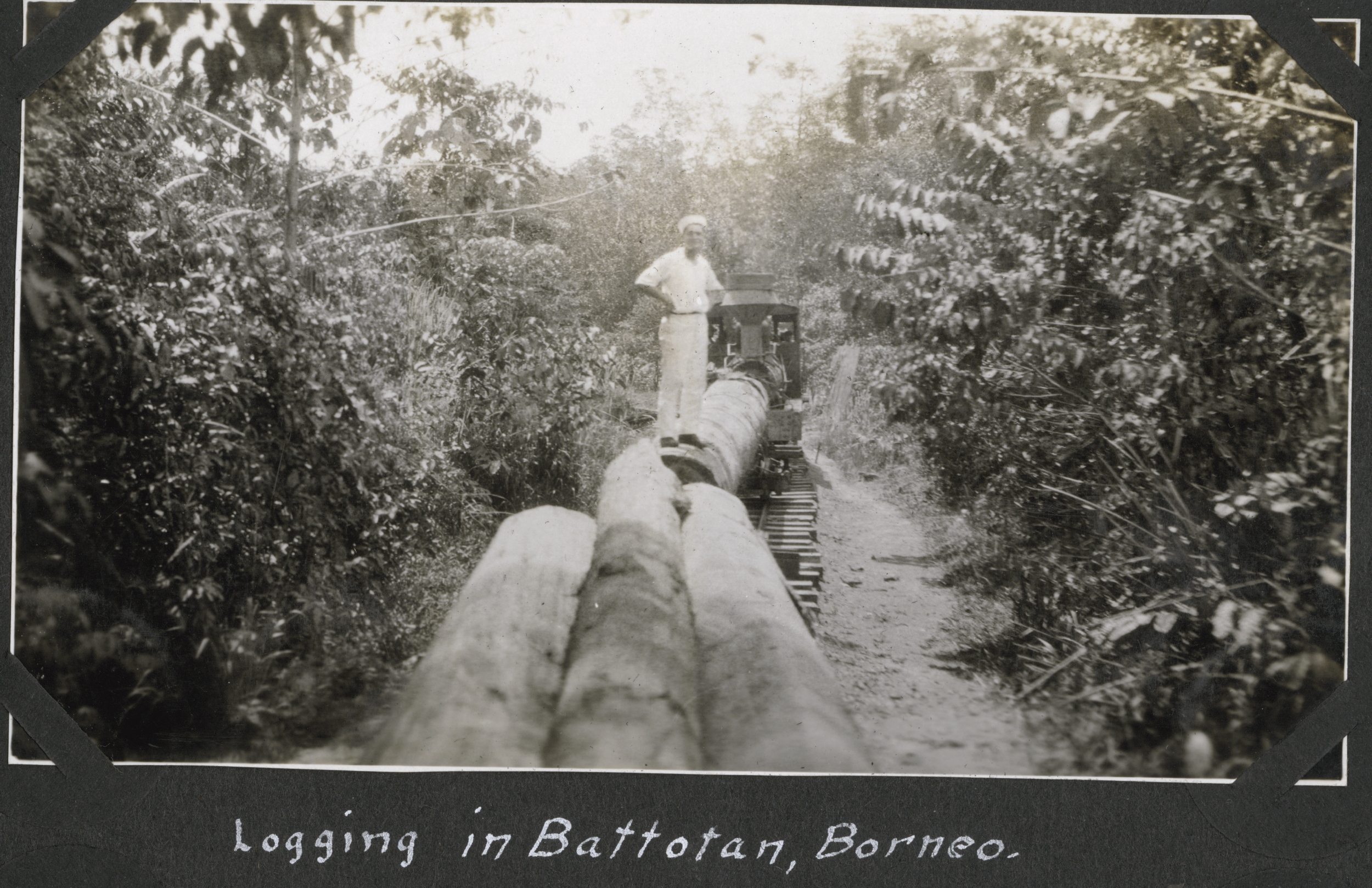 Logging in Batottan, British North Borneo