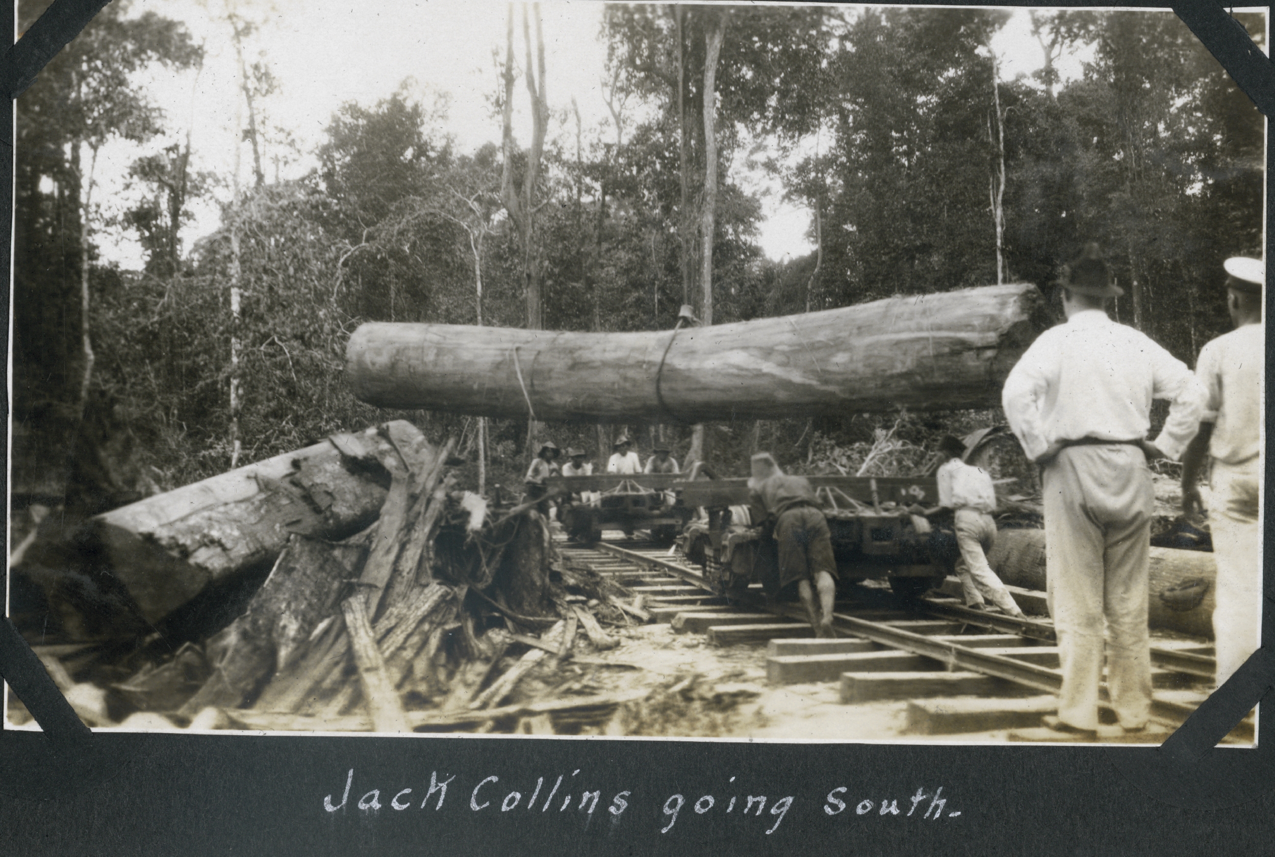 A huge log being placed on a railroad car at Batottan, British North Borneo