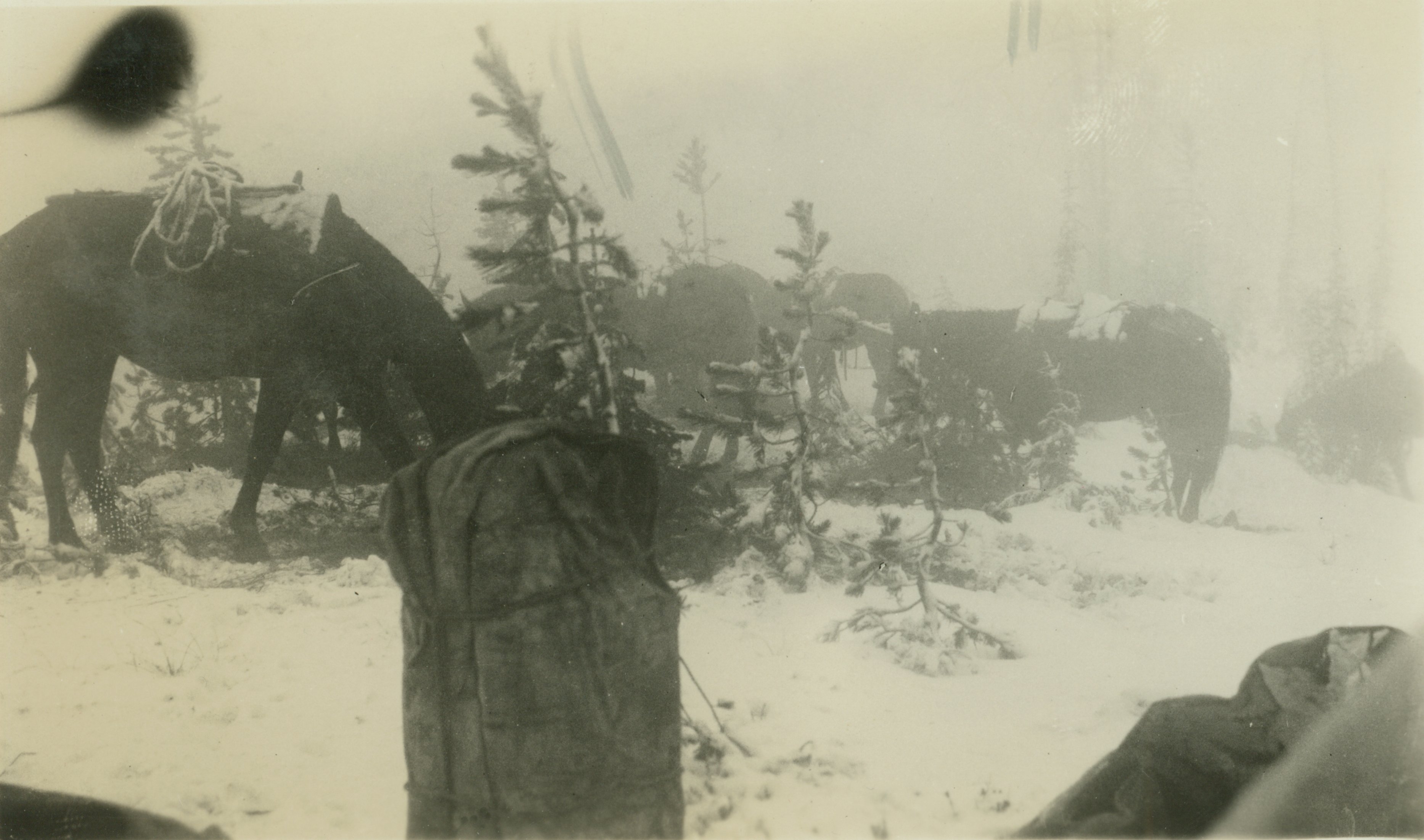 The storm that drove us out of Montana