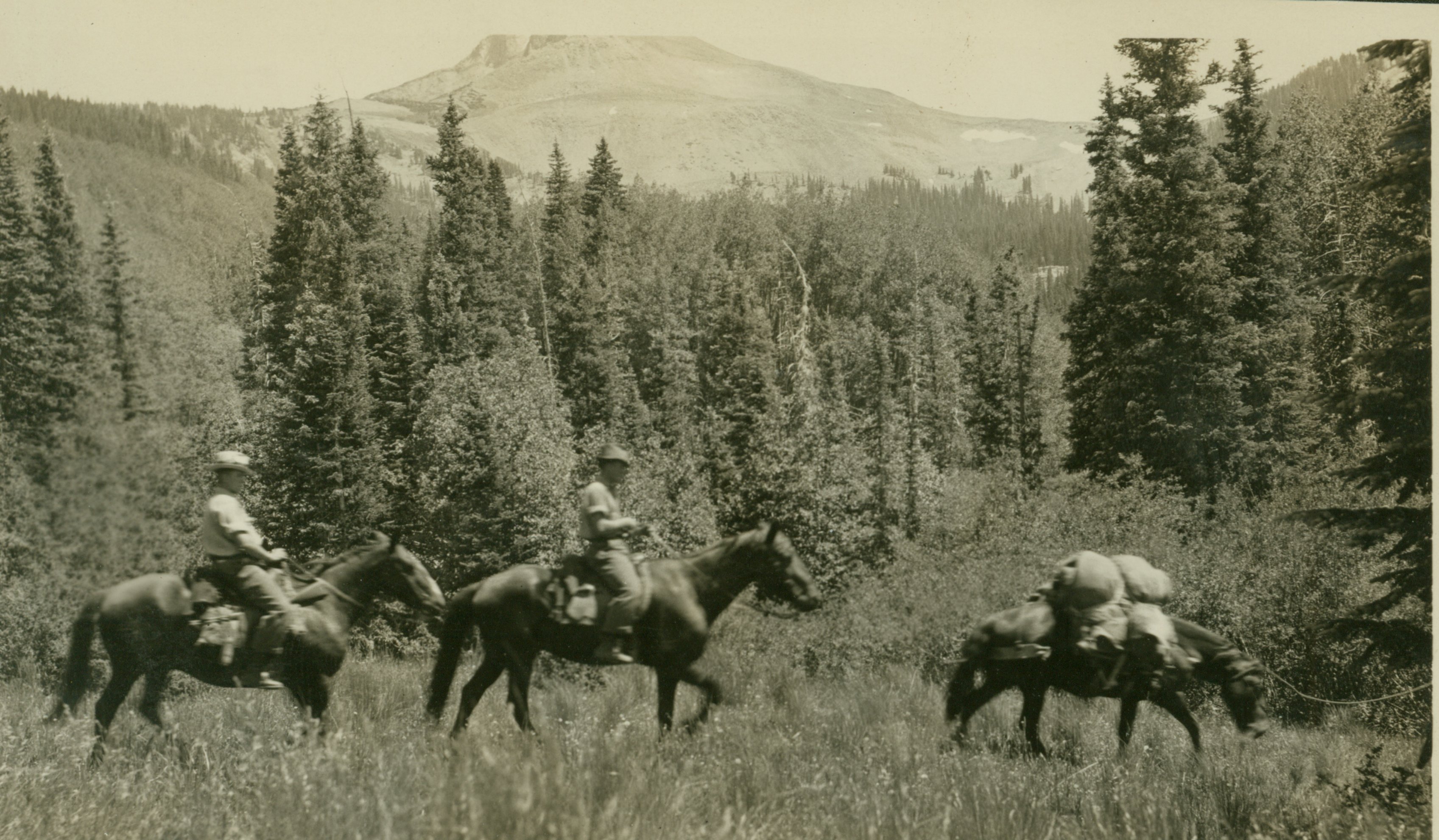 On the way to Station Lone Cone in Southwest Colorado
