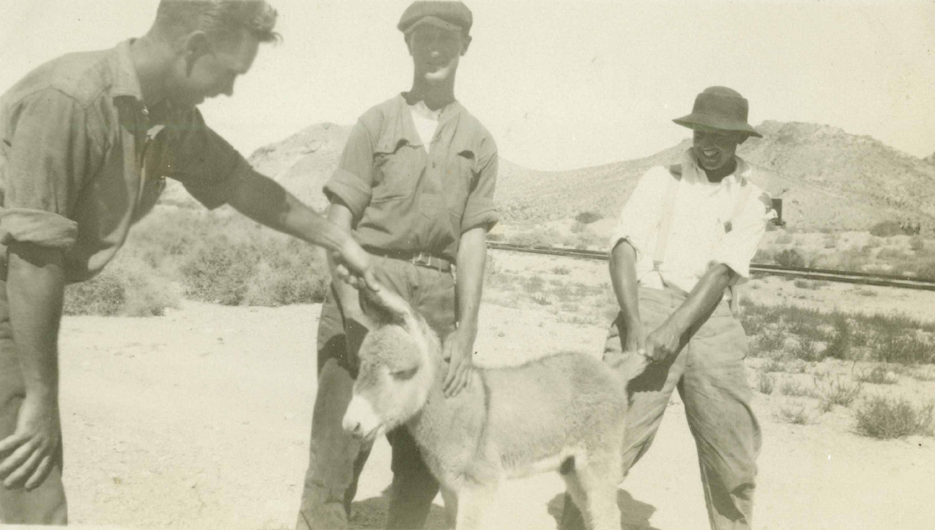 Level crew with good-natured burro