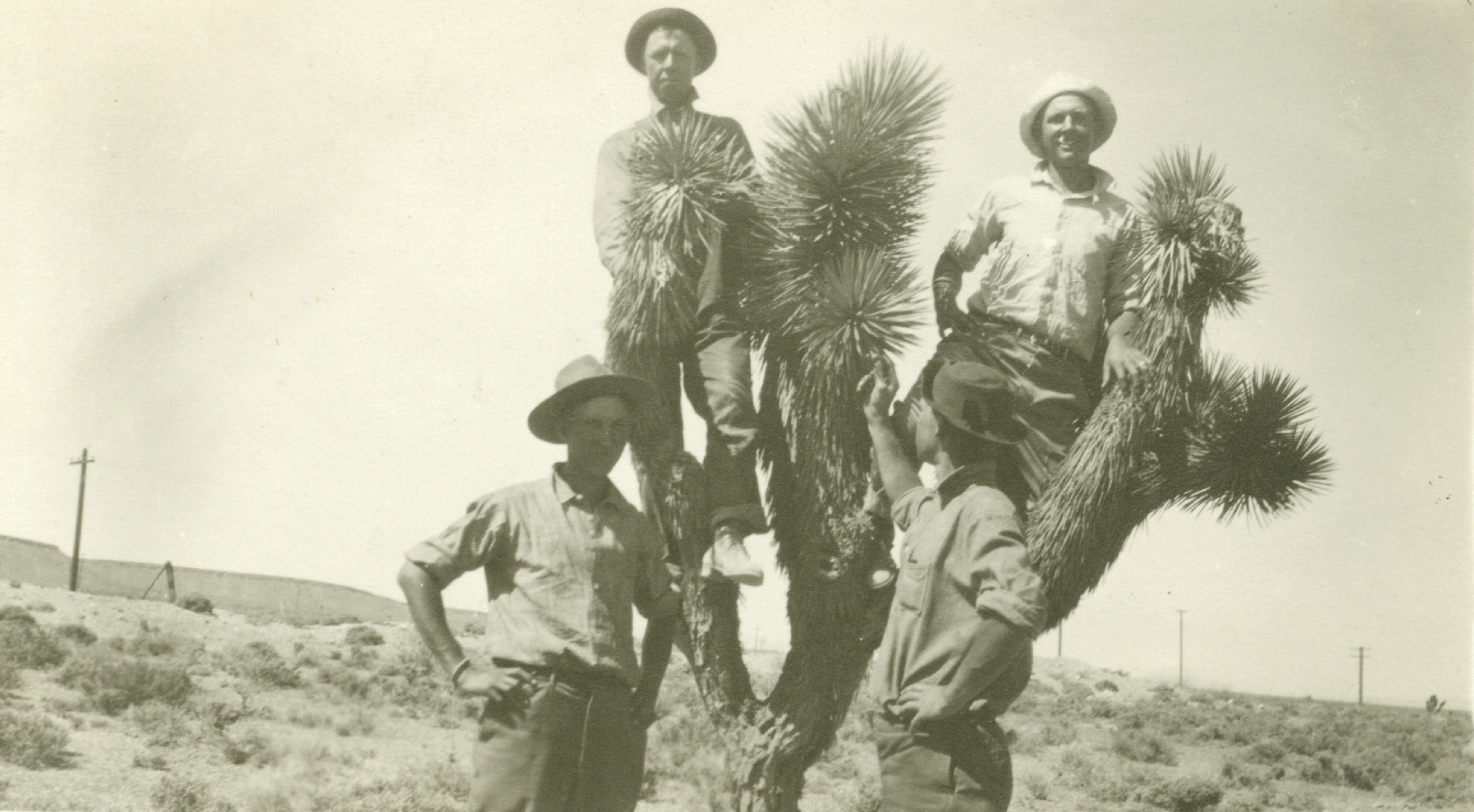 Level crew doing tourist-stuff on a yucca tree