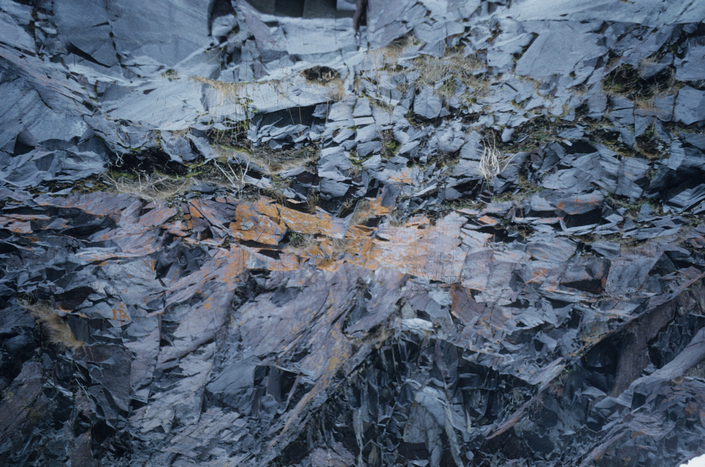 Rock outcrop with rectangular patterns in the Aleutians