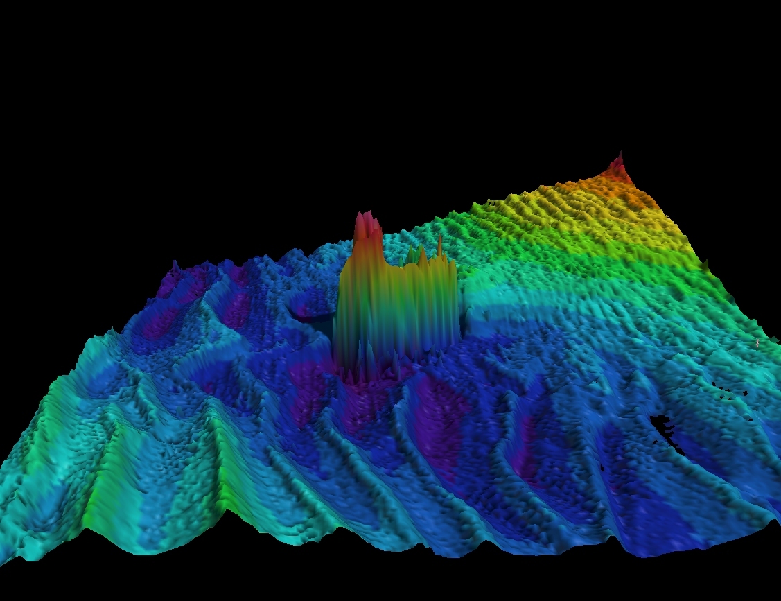 Multi-beam sonar image of ship wreck