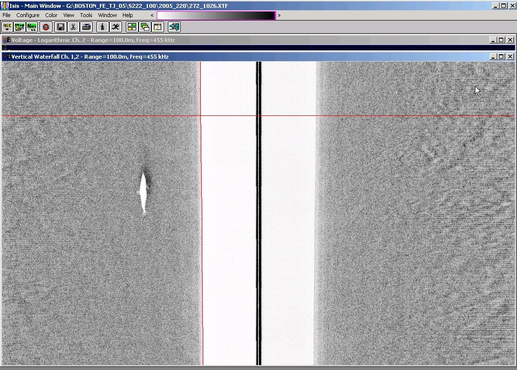 Side Scan sonar image of humpback whale on seafloor off New England