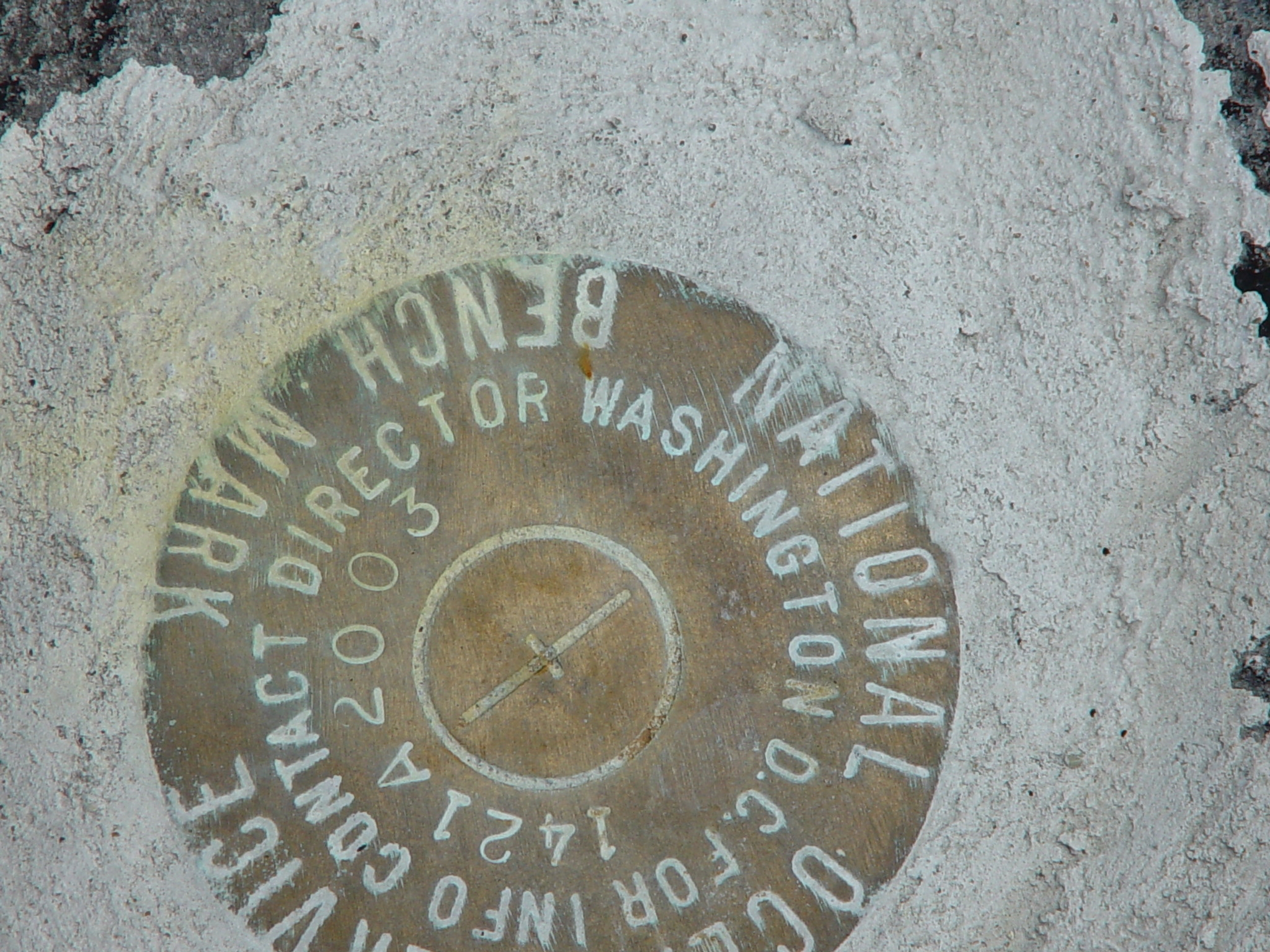 A National Ocean Service benchmark used to determine elevations