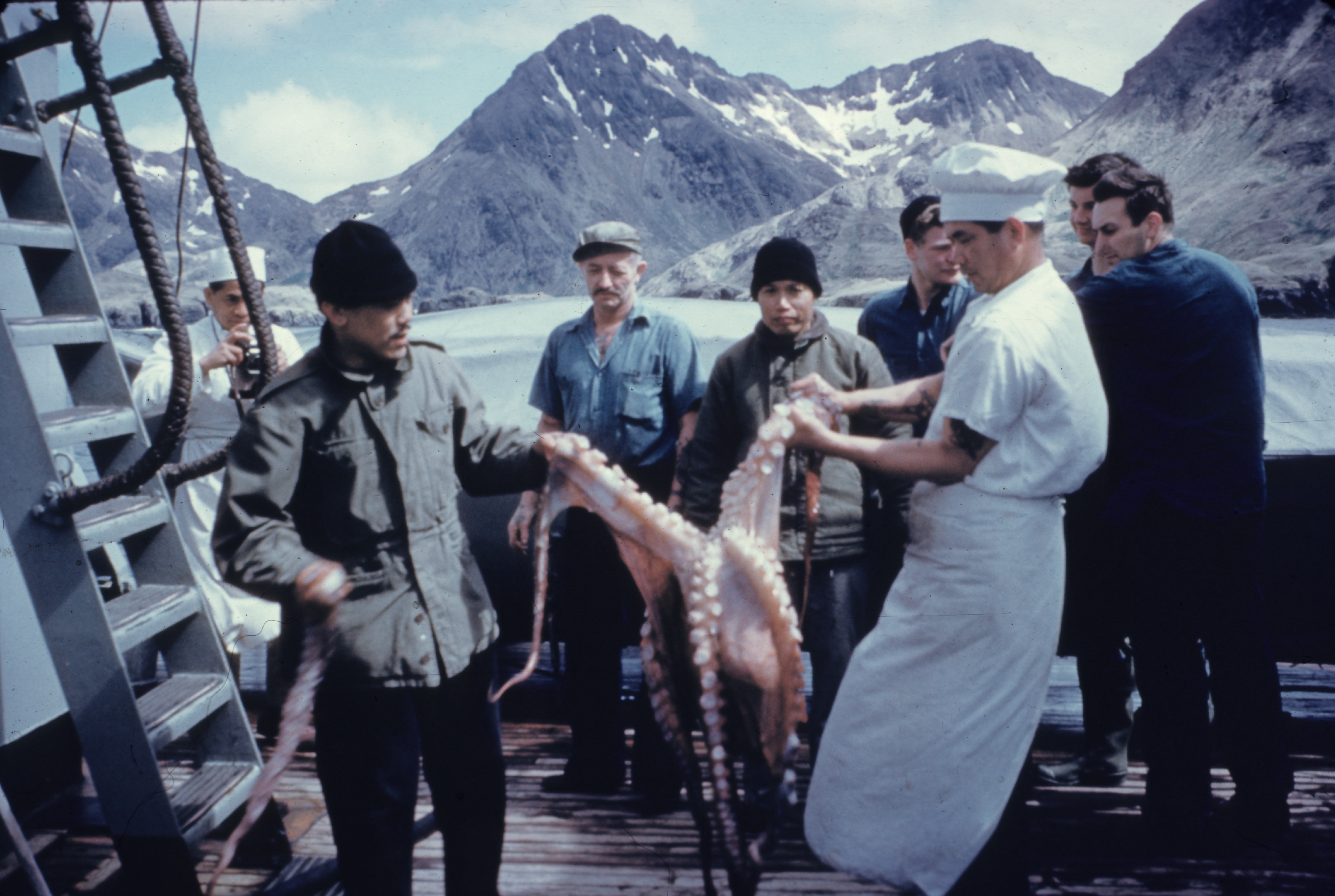 A large octopus getting ready for the cookpot on the PATHFINDER