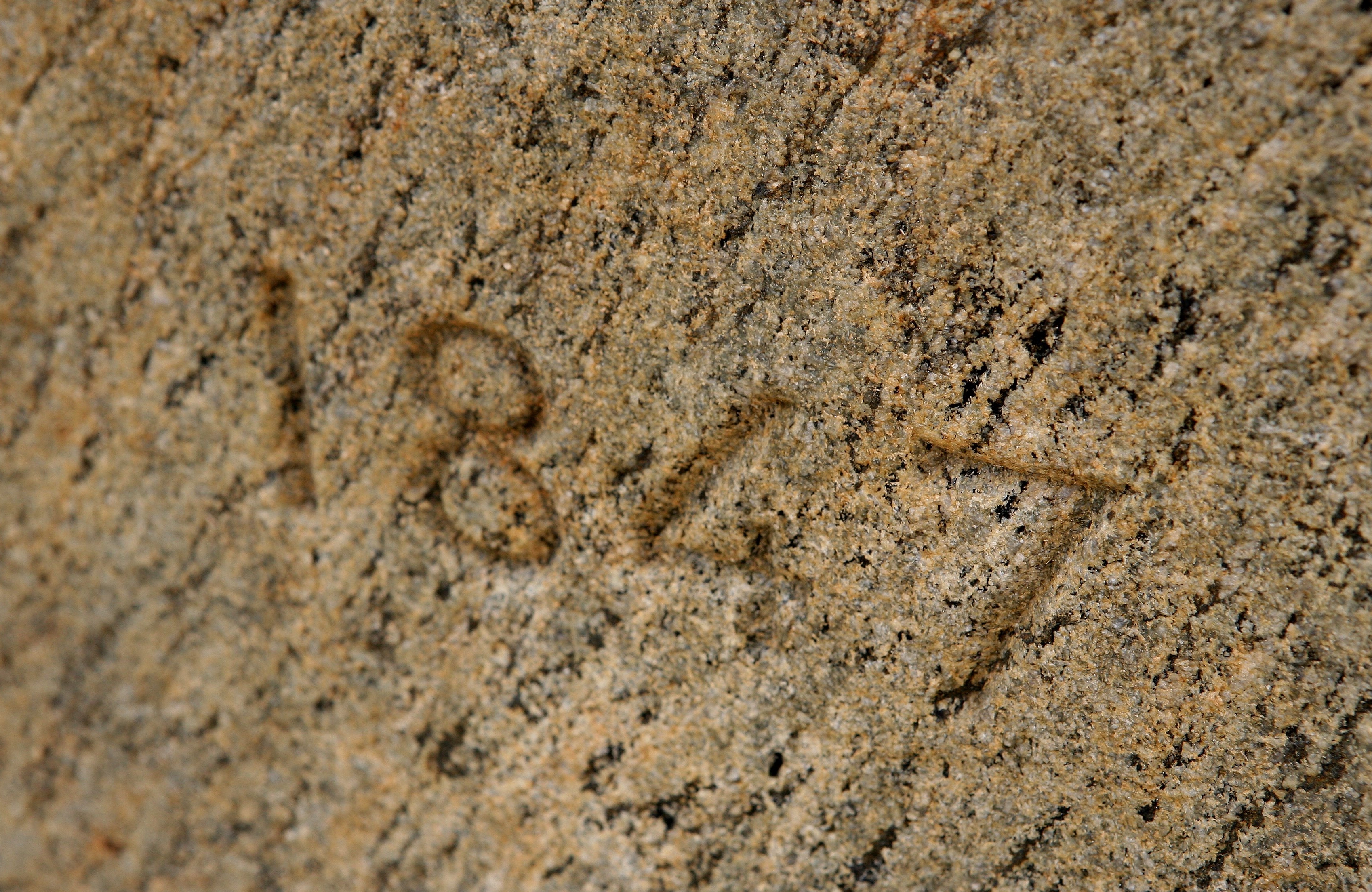1847 inscribed on granite obelisk which marked an end point of the baselinemeasured by Alexander Dallas Bache on Dauphin Island in 1847
