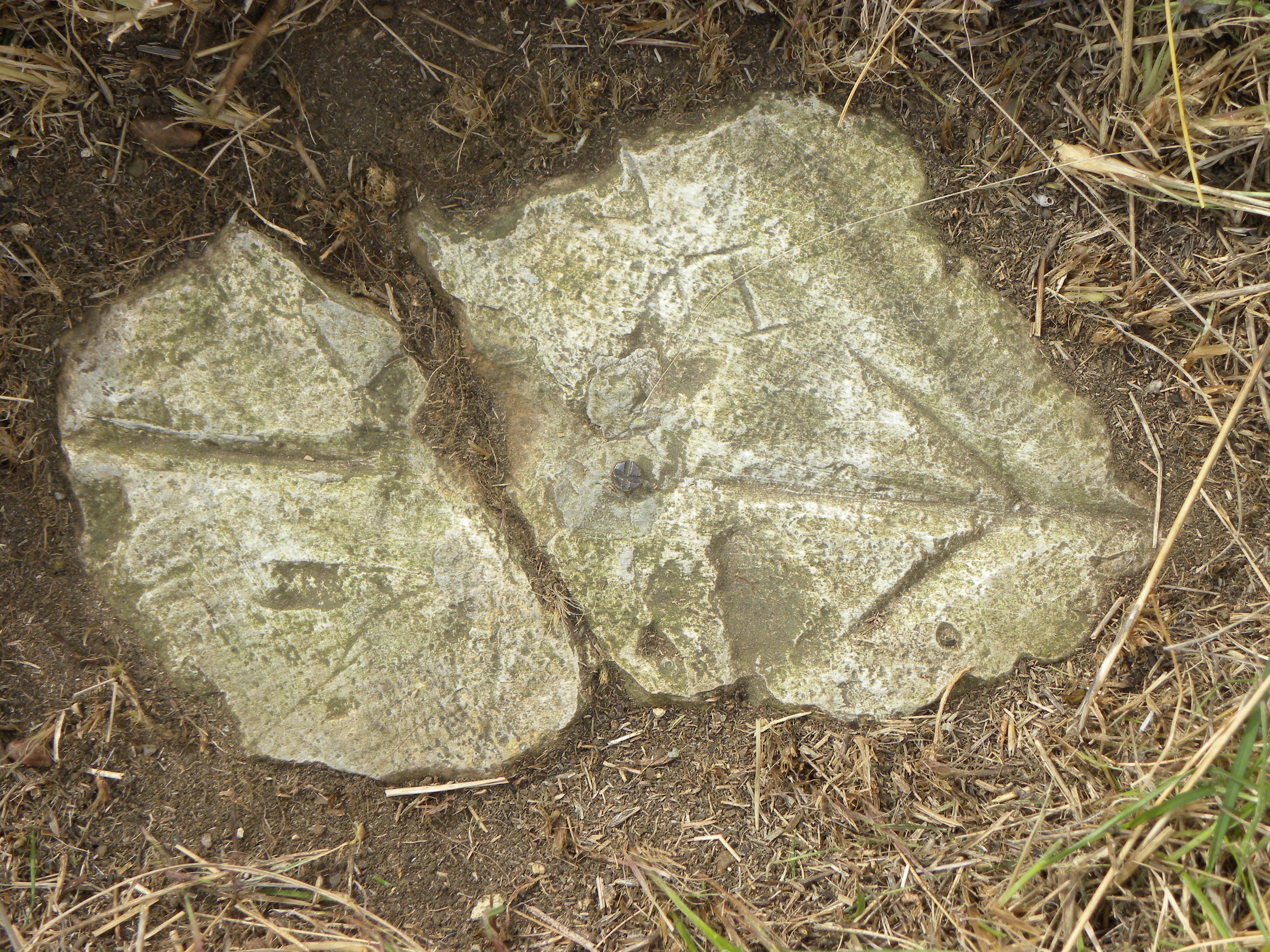 Witness post South located south of Meades Ranch 1891