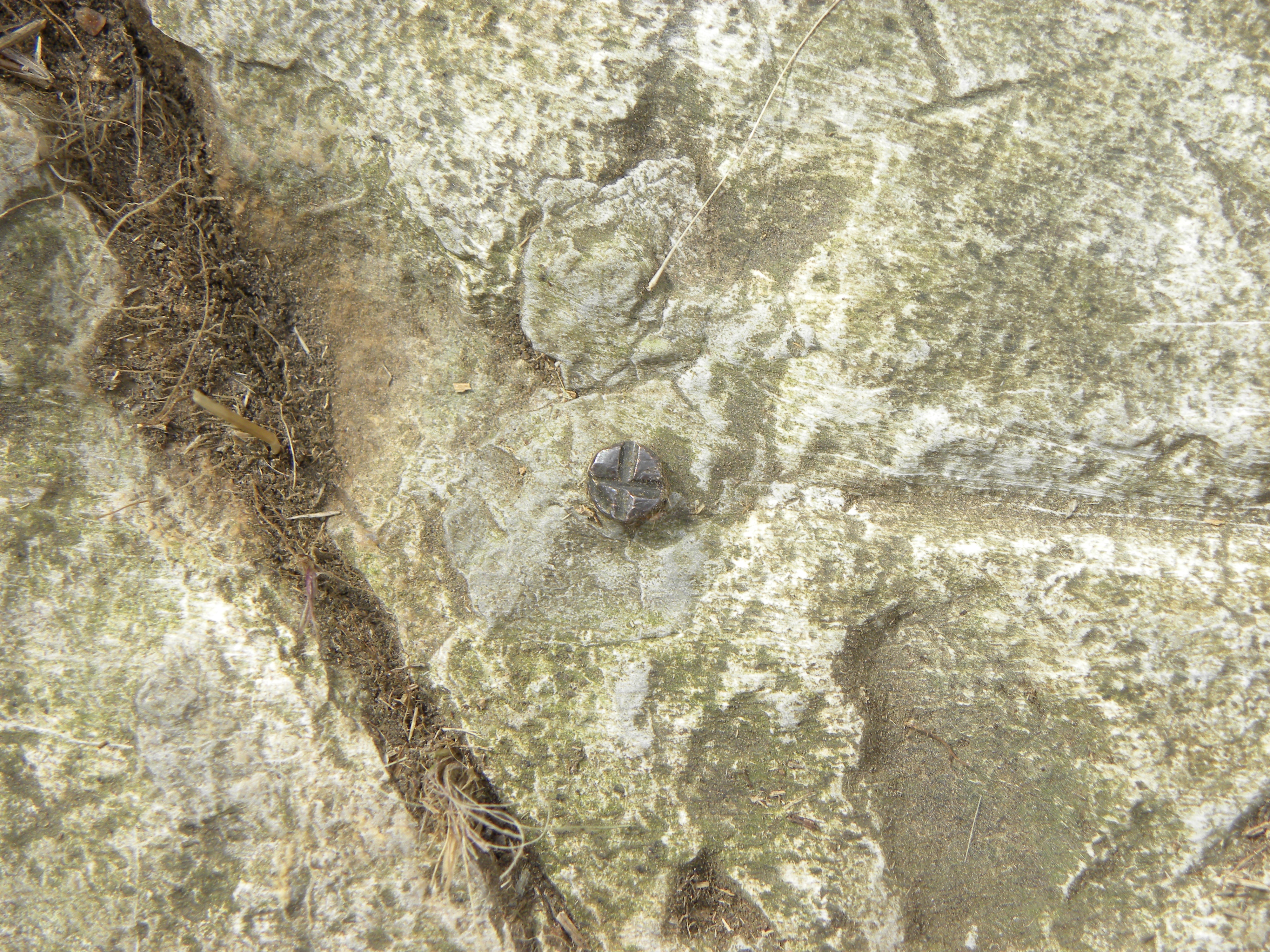 Closeup of the small brass bolt with + in witness post South