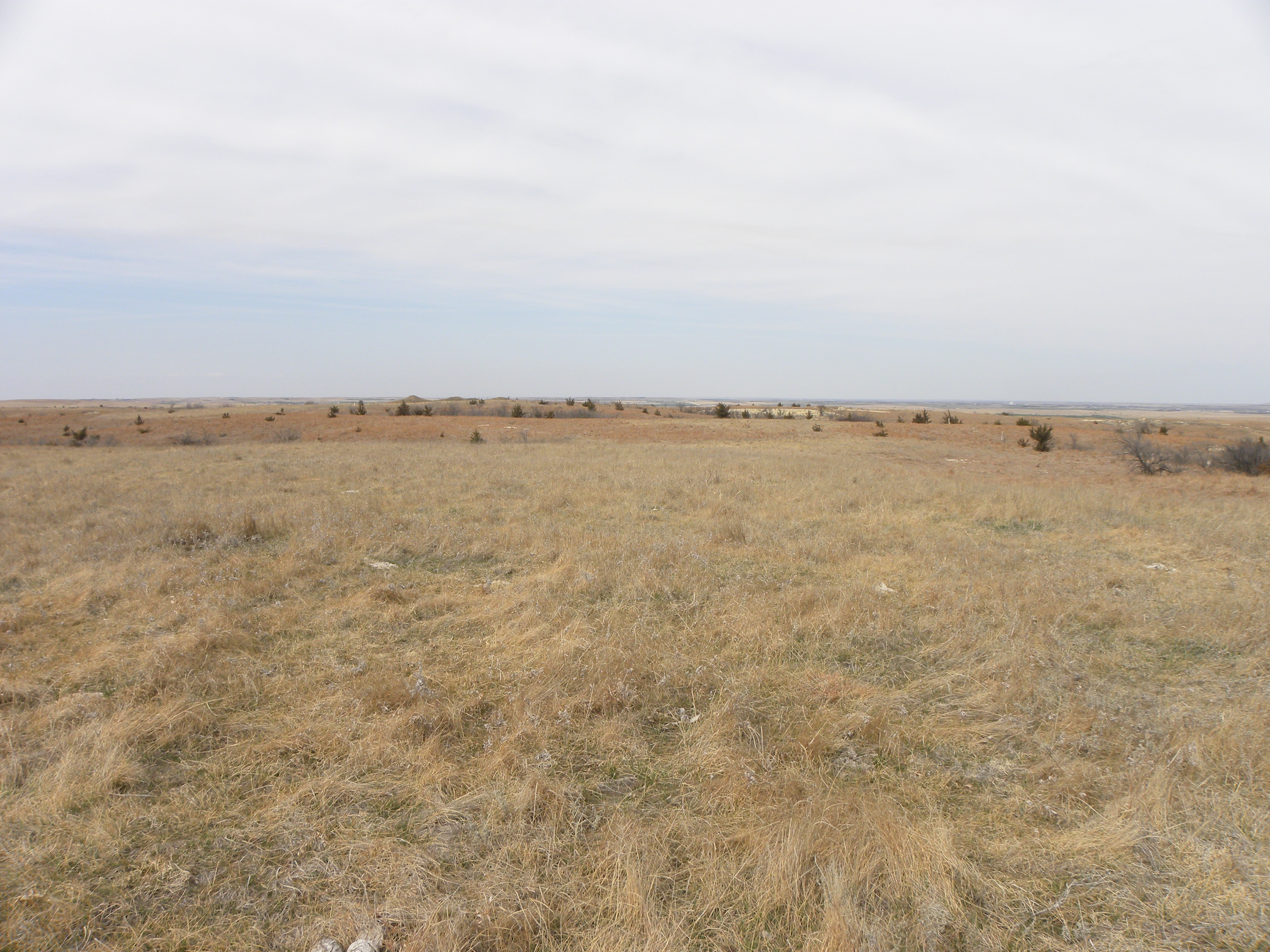 View looking due north from triangulation station Meades Ranch