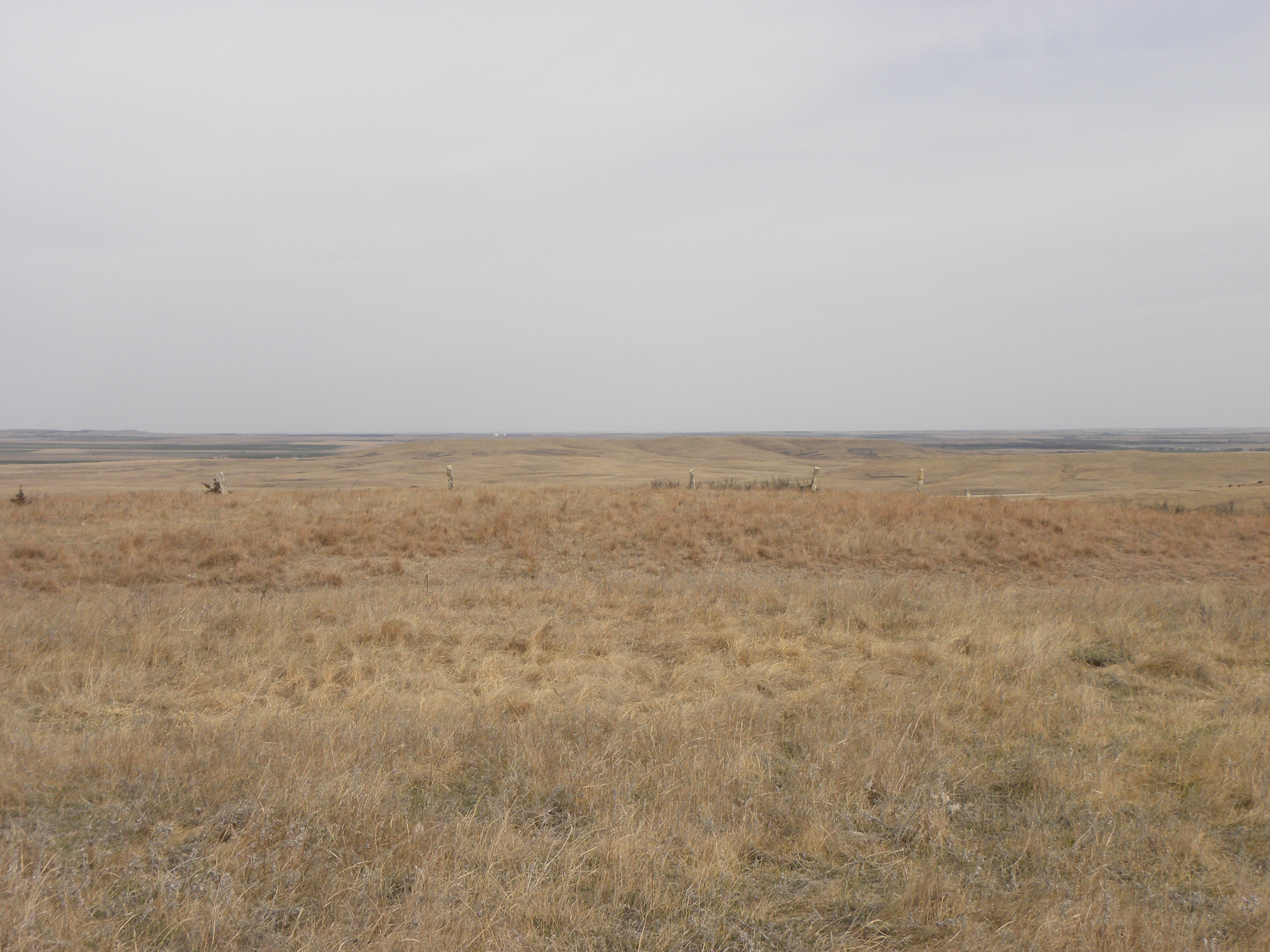 View looking due east from the triangulation station