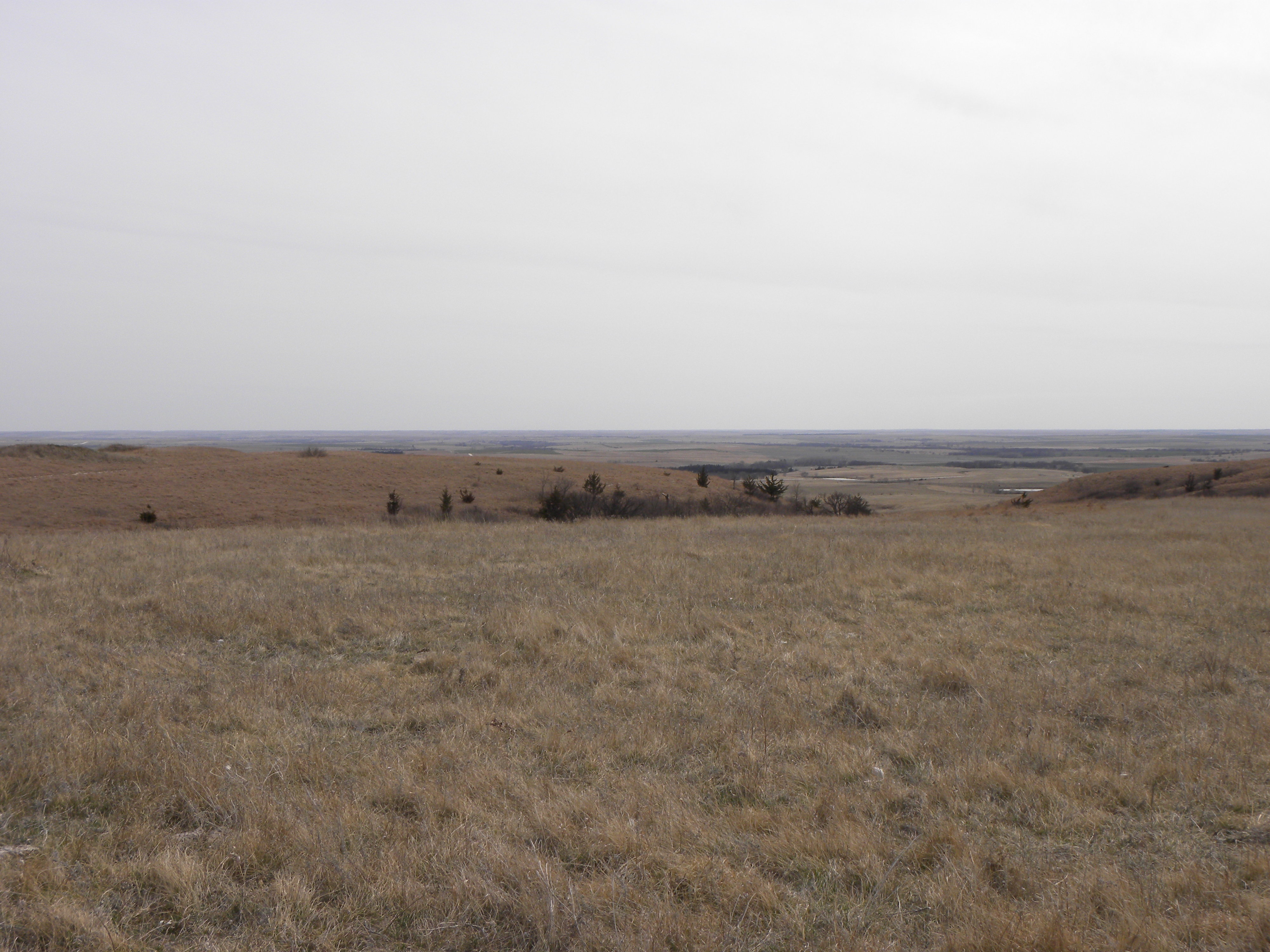 View looking due south from the triangulation station