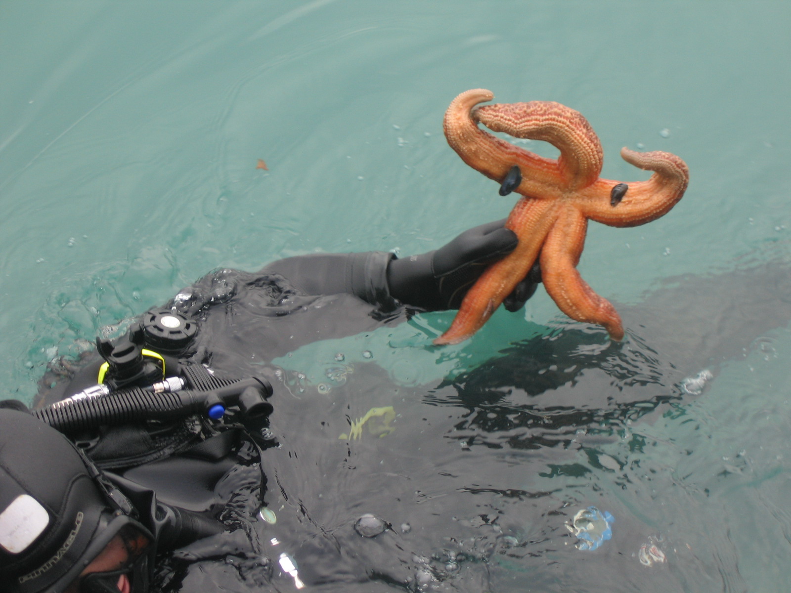 Dive operations for tide gauge installation