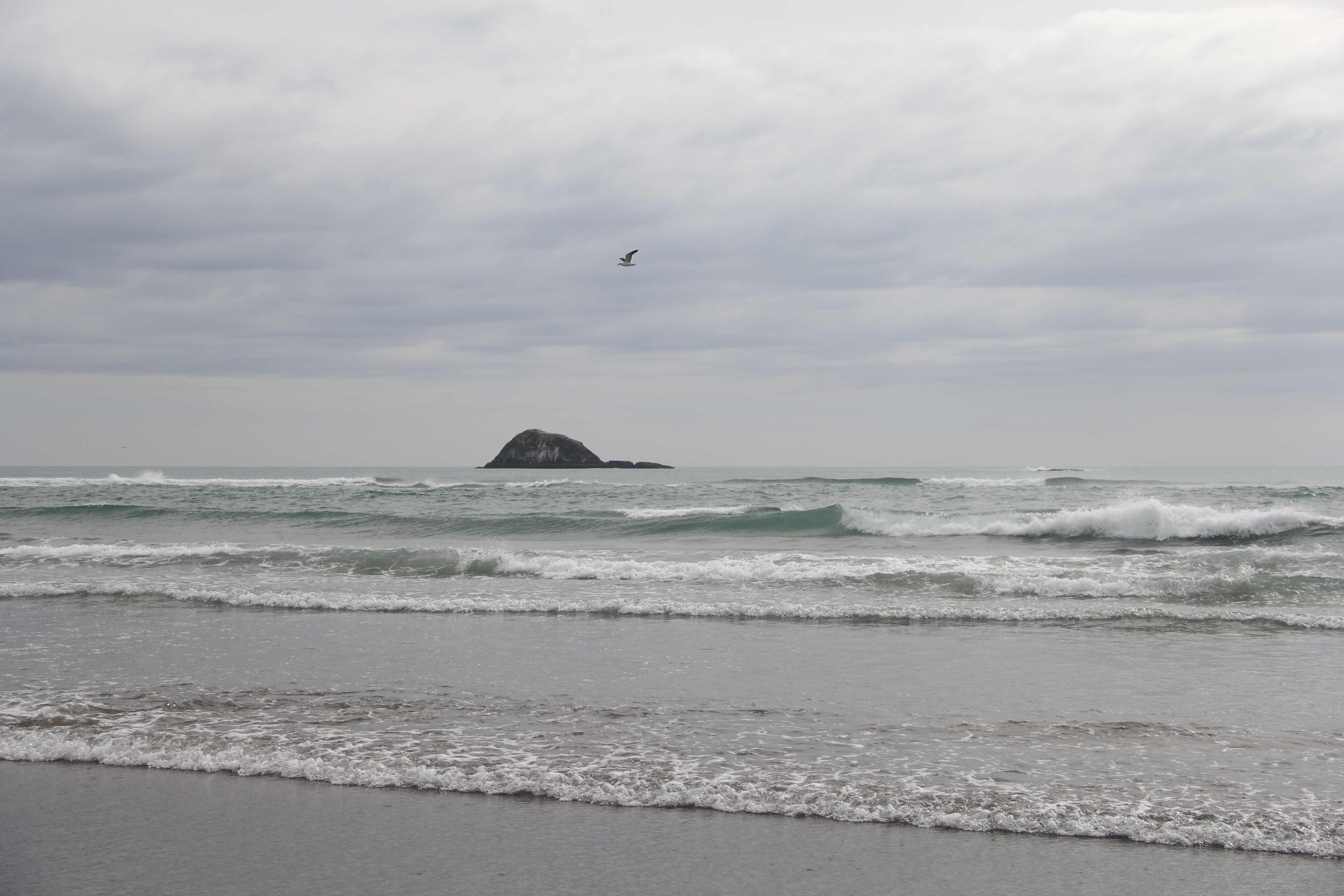Muriwai Beach, Auckland, New Zealand