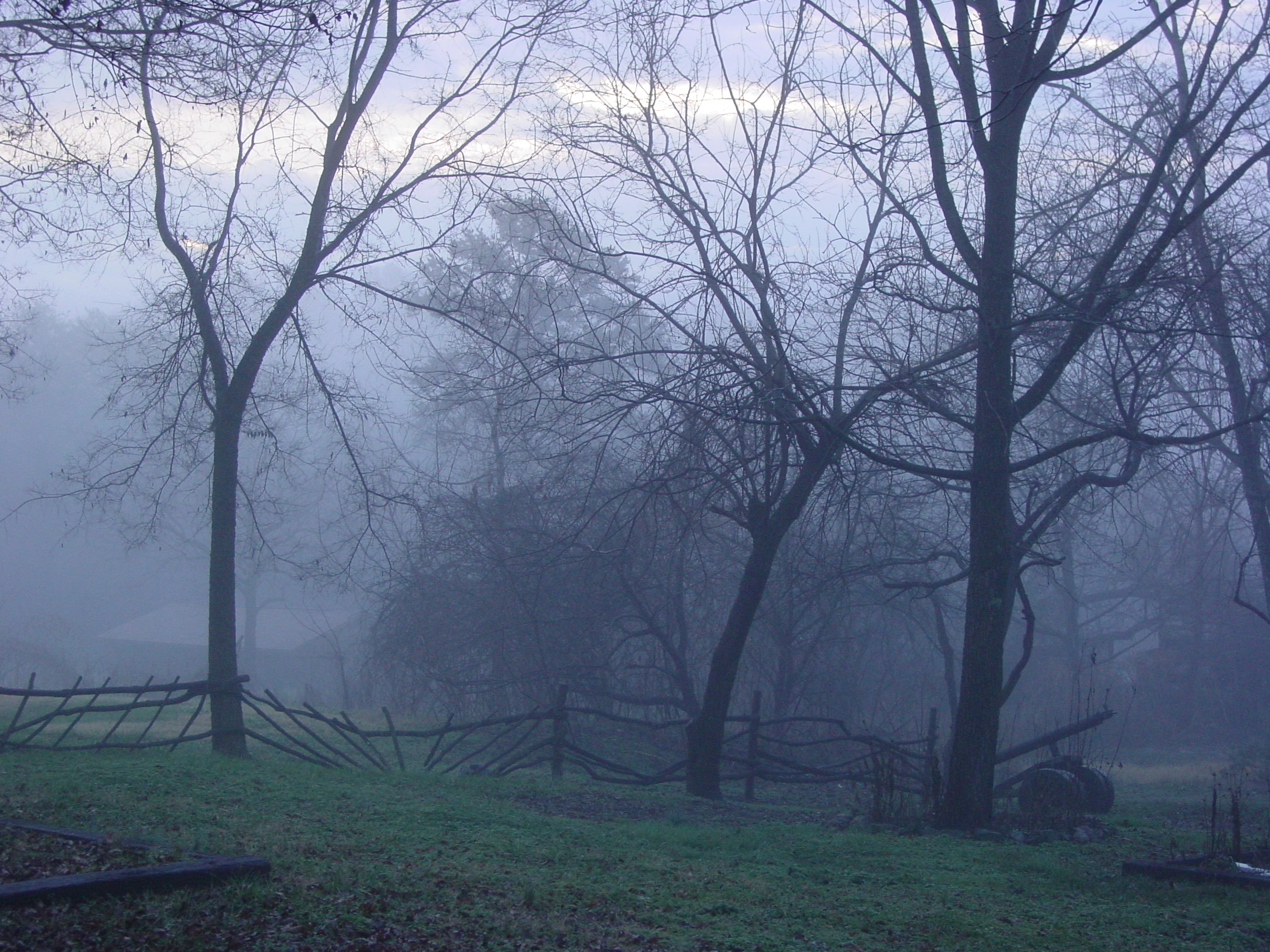 Fog in East Tennessee - there's no place I'd rather be