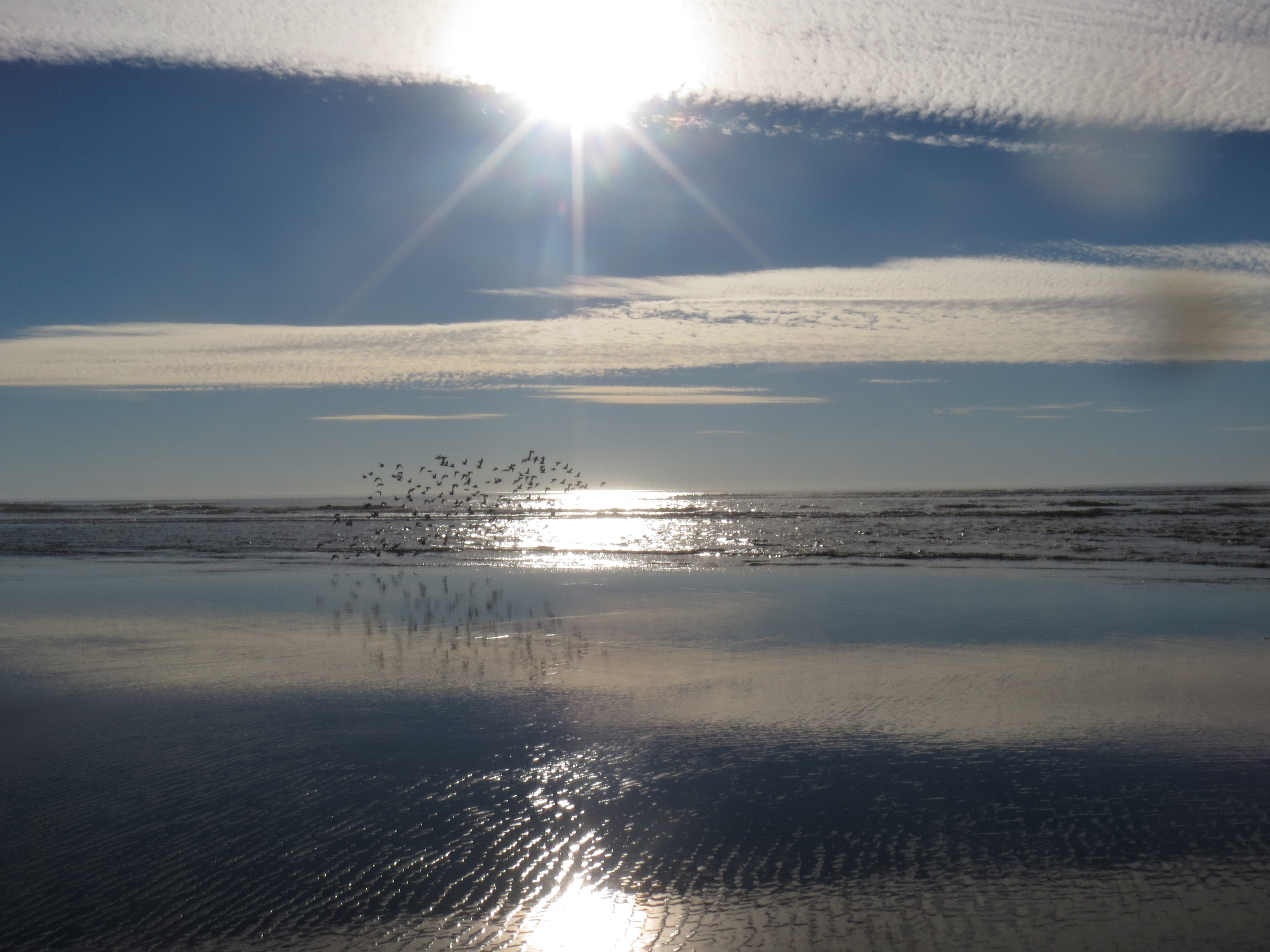 After a few clear days, the clouds were starting to come in and it lookes sobeautiful