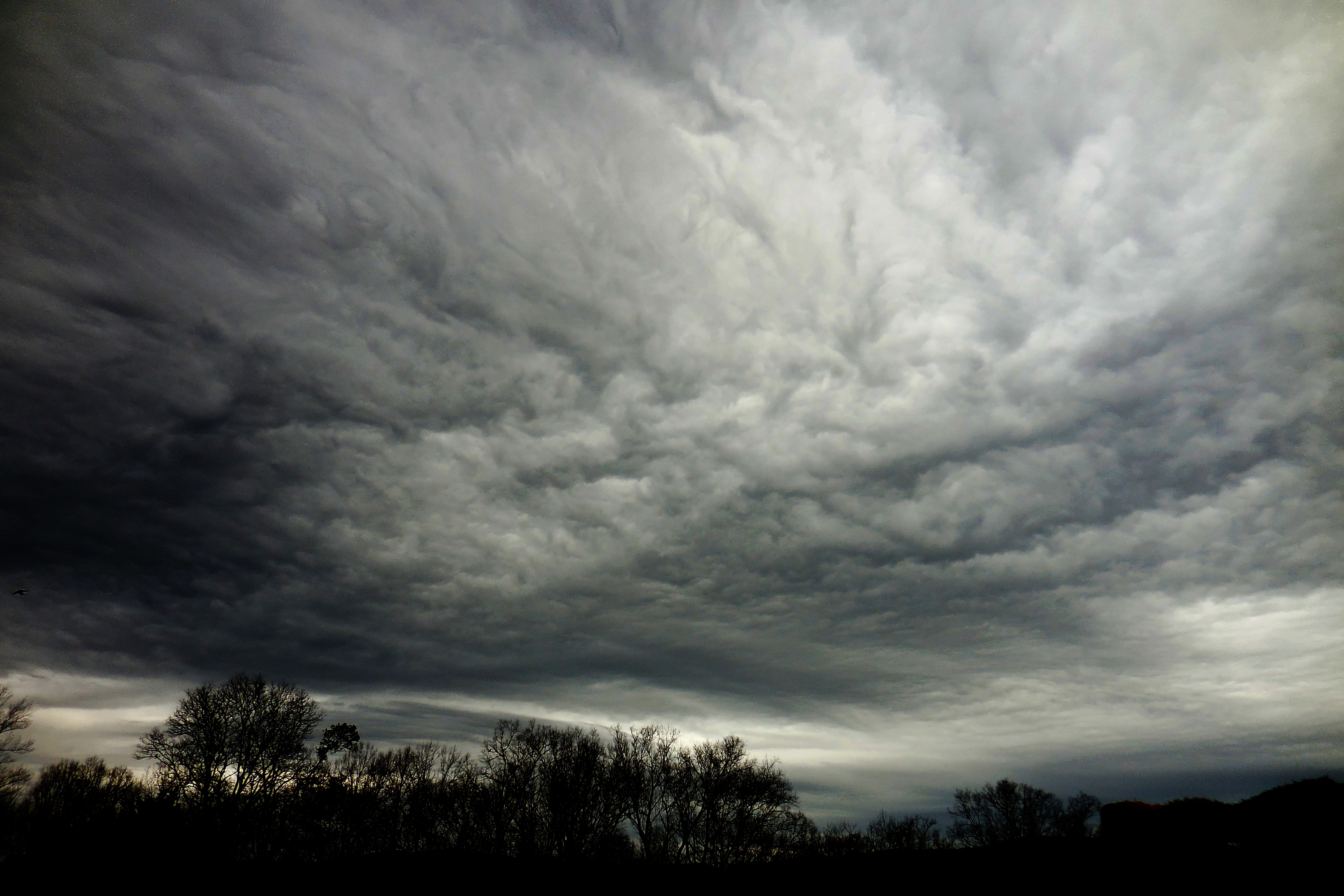 The entire sky was covered by the unusual clouds one afternoon in Feb