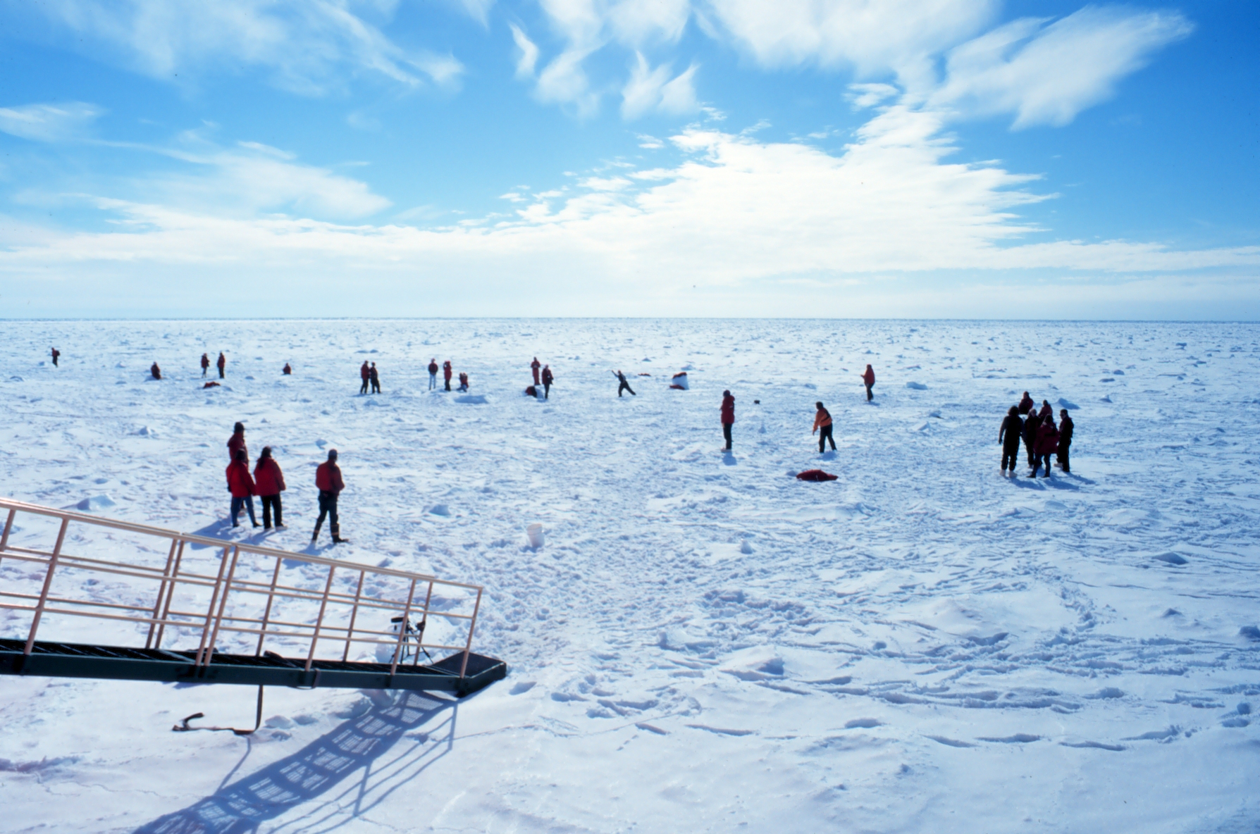Antarctic beach party