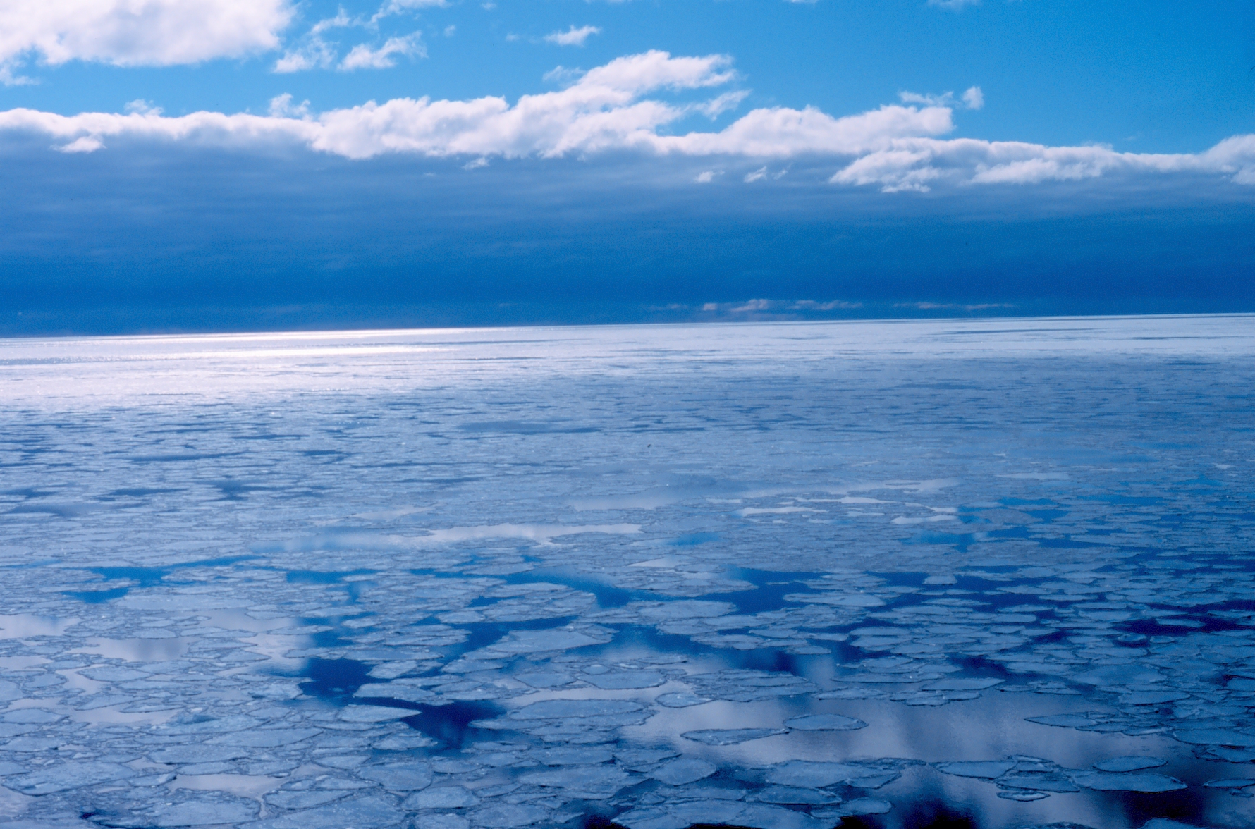 Small ice floes in open water as seen from the bridge of theNATHANIEL B