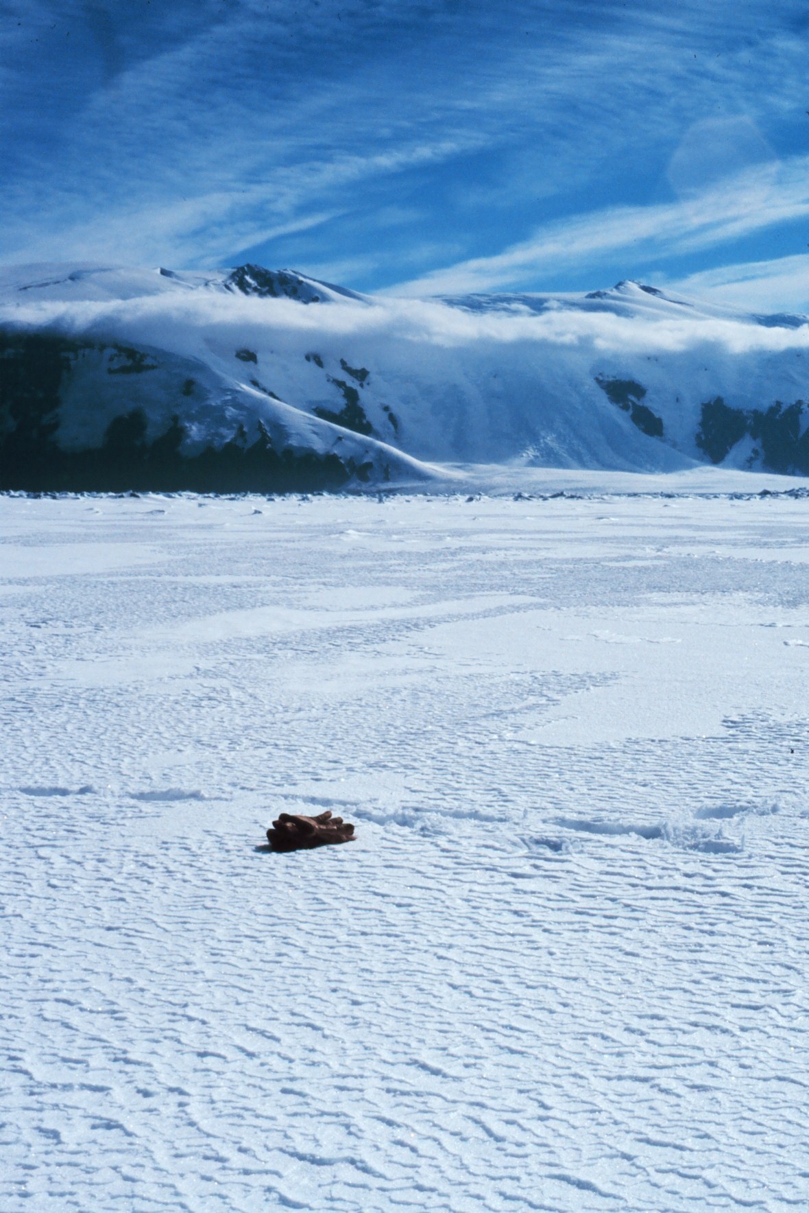 Glove for scale on sea ice
