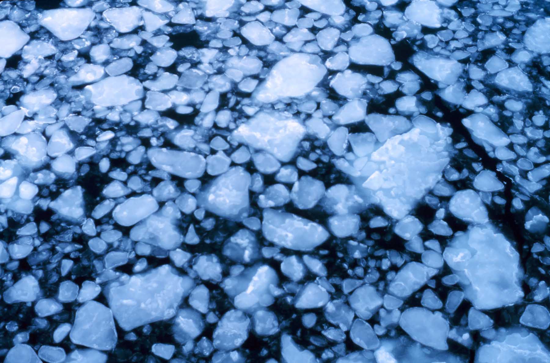 One of the many forms of sea ice